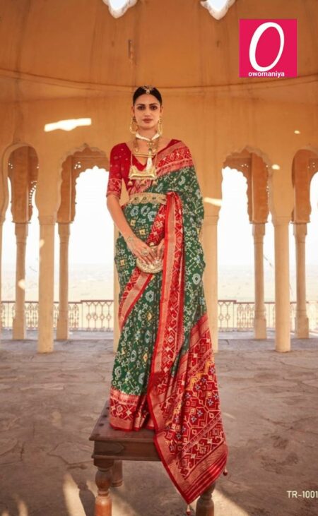 Patola elegant green silk saree with red contrast border and ikat design